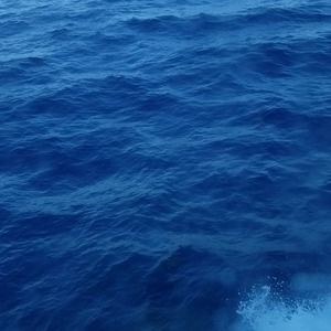 Meet your Posher, Anita